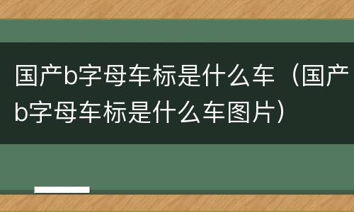 国产b字母车标是什么车（国产b字母车标是什么车图片）