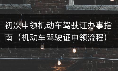 初次申领机动车驾驶证办事指南（机动车驾驶证申领流程）