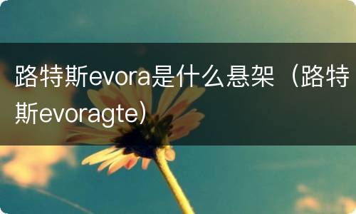 路特斯evora是什么悬架（路特斯evoragte）