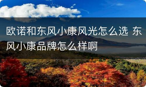 欧诺和东风小康风光怎么选 东风小康品牌怎么样啊