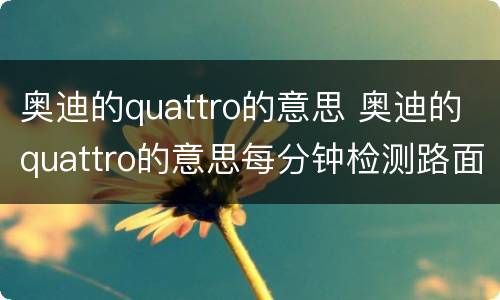 奥迪的quattro的意思 奥迪的quattro的意思每分钟检测路面次数
