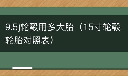9.5j轮毂用多大胎（15寸轮毂轮胎对照表）