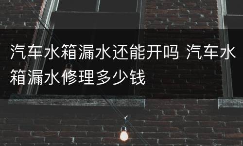 汽车水箱漏水还能开吗 汽车水箱漏水修理多少钱