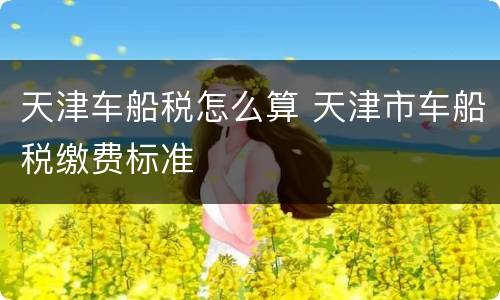 天津车船税怎么算 天津市车船税缴费标准