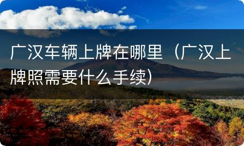 广汉车辆上牌在哪里（广汉上牌照需要什么手续）