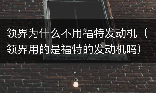 领界为什么不用福特发动机（领界用的是福特的发动机吗）