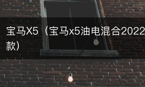 宝马X5（宝马x5油电混合2022款）