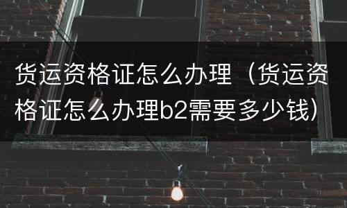 货运资格证怎么办理（货运资格证怎么办理b2需要多少钱）