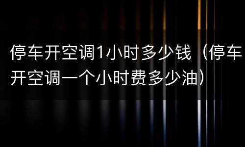 停车开空调1小时多少钱（停车开空调一个小时费多少油）