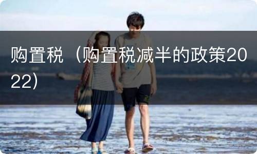 购置税（购置税减半的政策2022）