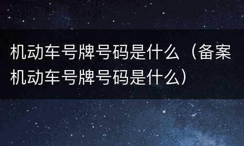 机动车号牌号码是什么（备案机动车号牌号码是什么）