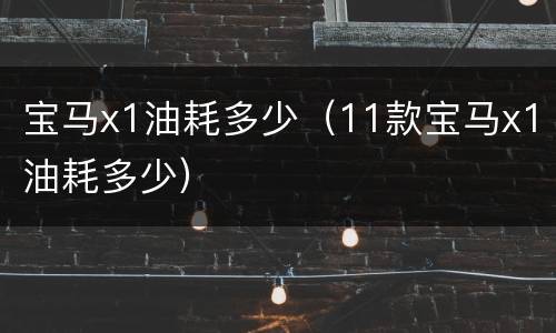 宝马x1油耗多少（11款宝马x1油耗多少）