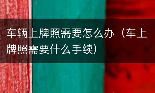 车辆上牌照需要怎么办（车上牌照需要什么手续）