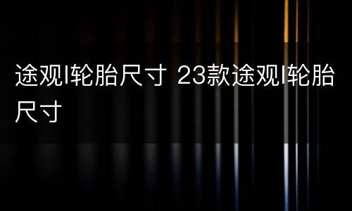 途观l轮胎尺寸 23款途观l轮胎尺寸
