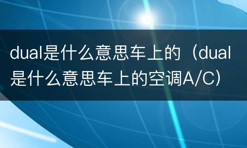 dual是什么意思车上的（dual是什么意思车上的空调A/C）