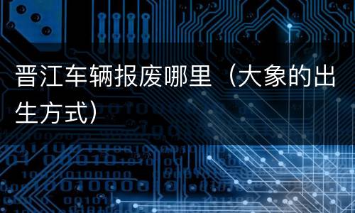 晋江车辆报废哪里（大象的出生方式）