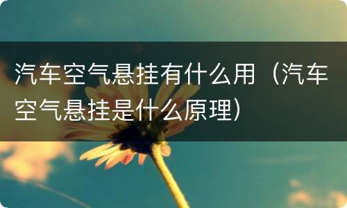 汽车空气悬挂有什么用（汽车空气悬挂是什么原理）