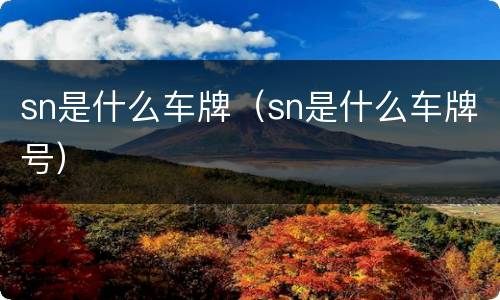 sn是什么车牌（sn是什么车牌号）