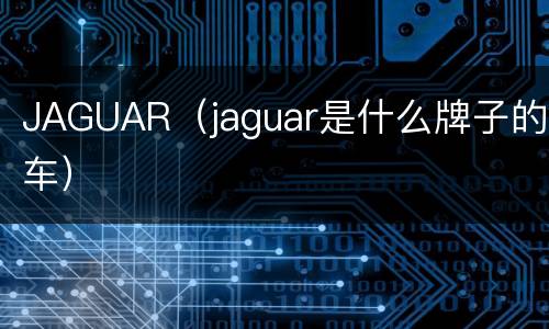JAGUAR（jaguar是什么牌子的车）
