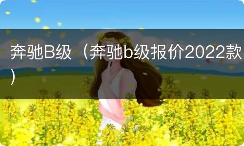 奔驰B级（奔驰b级报价2022款）