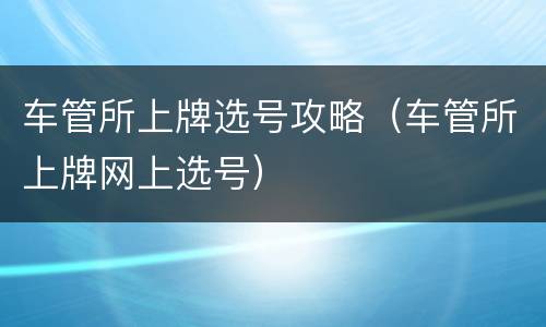 车管所上牌选号攻略（车管所上牌网上选号）