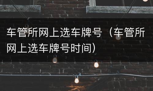 车管所网上选车牌号（车管所网上选车牌号时间）