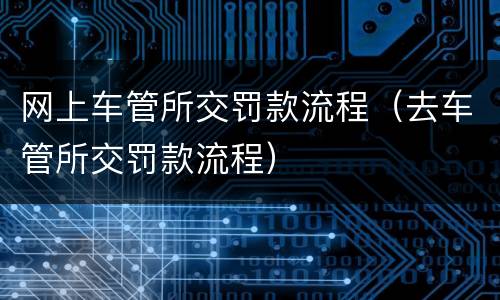 网上车管所交罚款流程（去车管所交罚款流程）