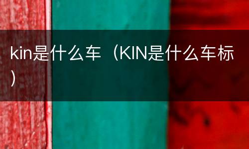 kin是什么车（KIN是什么车标）