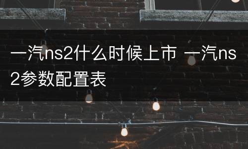 一汽ns2什么时候上市 一汽ns2参数配置表