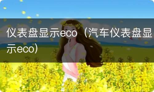 仪表盘显示eco（汽车仪表盘显示eco）