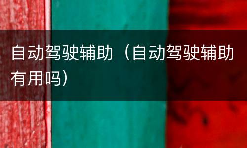 自动驾驶辅助（自动驾驶辅助有用吗）