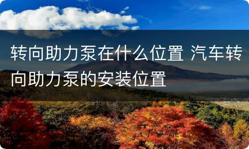转向助力泵在什么位置 汽车转向助力泵的安装位置