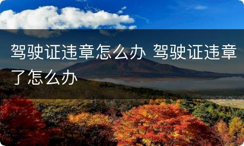 驾驶证违章怎么办 驾驶证违章了怎么办