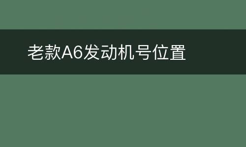 ​老款A6发动机号位置