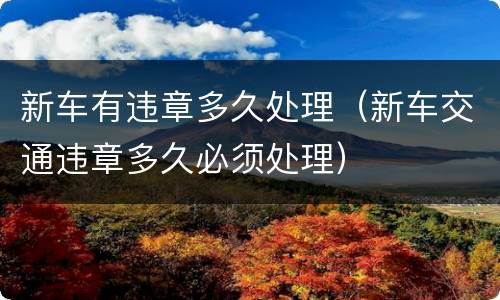 新车有违章多久处理（新车交通违章多久必须处理）
