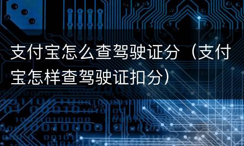 支付宝怎么查驾驶证分（支付宝怎样查驾驶证扣分）