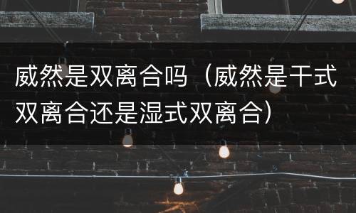 威然是双离合吗（威然是干式双离合还是湿式双离合）