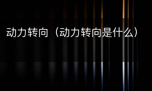 动力转向（动力转向是什么）