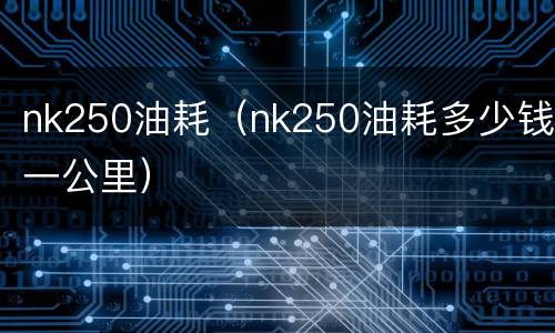 nk250油耗（nk250油耗多少钱一公里）