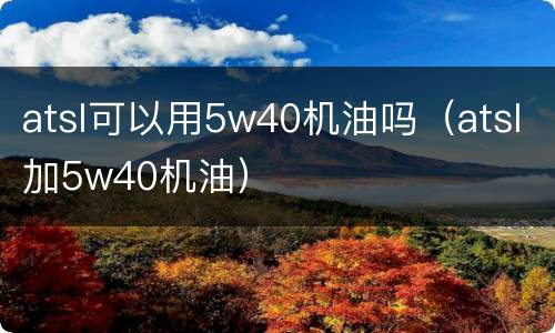 atsl可以用5w40机油吗（atsl加5w40机油）