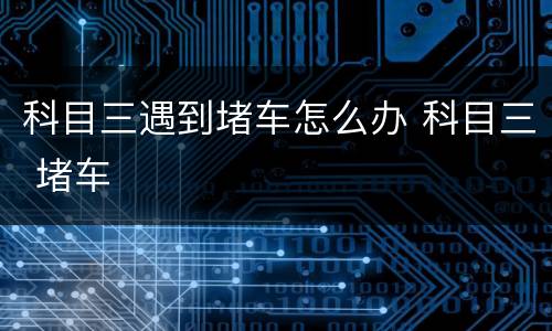 科目三遇到堵车怎么办 科目三 堵车