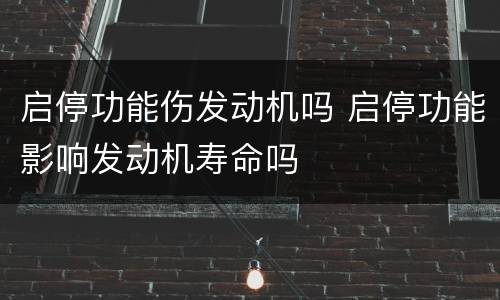 启停功能伤发动机吗 启停功能影响发动机寿命吗