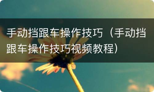 手动挡跟车操作技巧（手动挡跟车操作技巧视频教程）