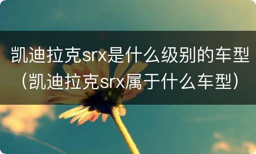 凯迪拉克srx是什么级别的车型（凯迪拉克srx属于什么车型）