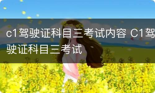 c1驾驶证科目三考试内容 C1驾驶证科目三考试