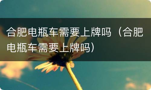 合肥电瓶车需要上牌吗（合肥电瓶车需要上牌吗）