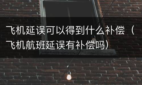 飞机延误可以得到什么补偿（飞机航班延误有补偿吗）