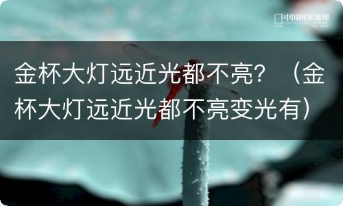 金杯大灯远近光都不亮？（金杯大灯远近光都不亮变光有）