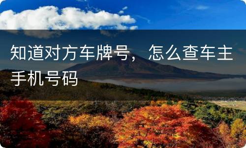 知道对方车牌号，怎么查车主手机号码