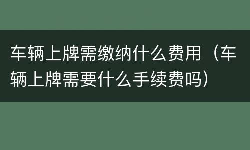 车辆上牌需缴纳什么费用（车辆上牌需要什么手续费吗）